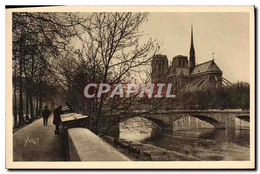 CPA Paris en Flanant Notre Dame Vue du Quai de la Tournelle Notre Dame Church 