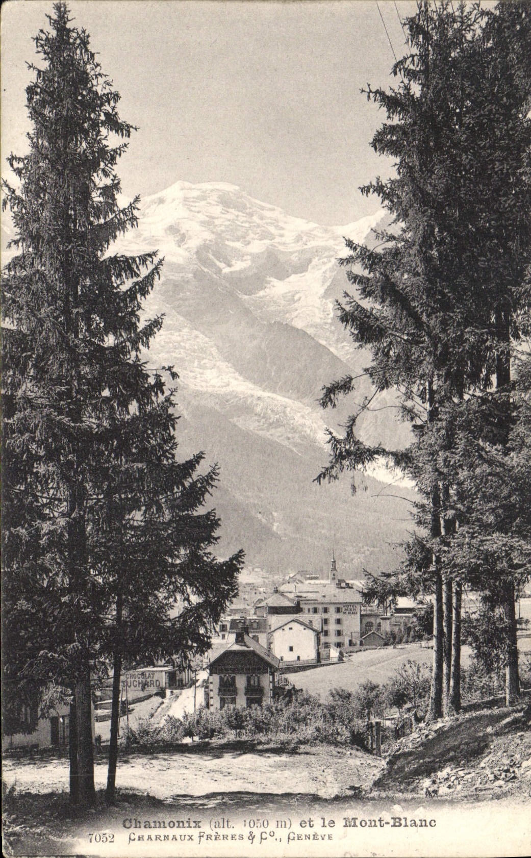 CPA Chamonix et le Mont Blanc 