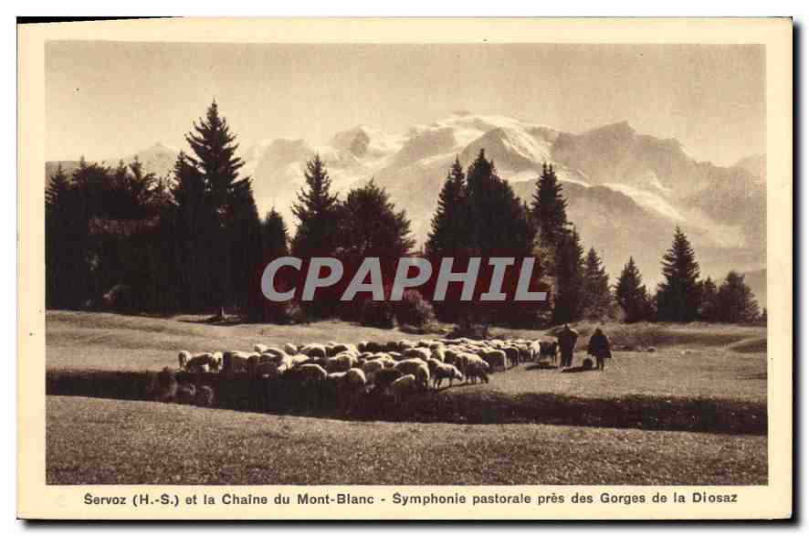 CPA Servoz H S et la Chaine du Mont Blanc Symphonie pastorale pres des Gorges de la Diosaz Moutons
