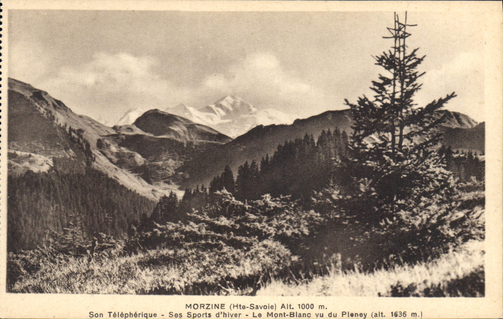 Morzine (Haute-Savoie) — Vue du Mont-Blanc depuis le Pleney — Alt. 1000 m