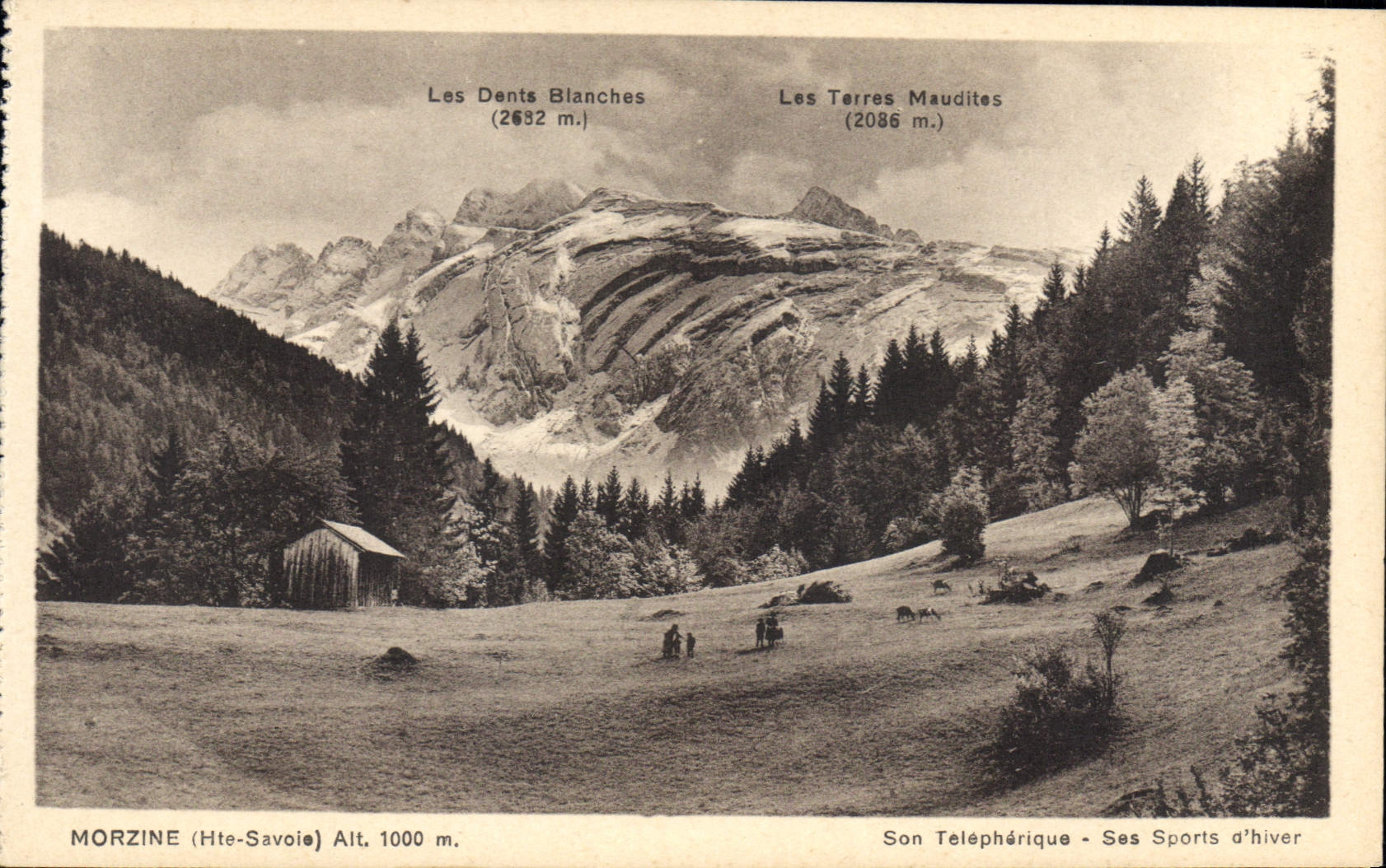 Morzine (Hte-Savoie) — Vue des Dents Blanches et des Terres Maudites — L. Thomas, Morzine