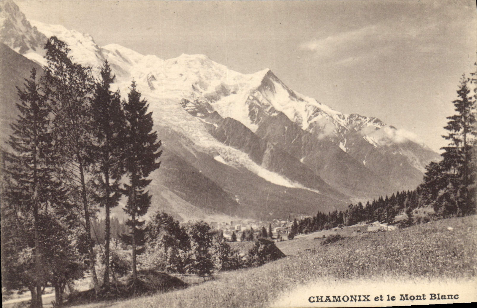 CPA Chamonix et le Mont Blanc 