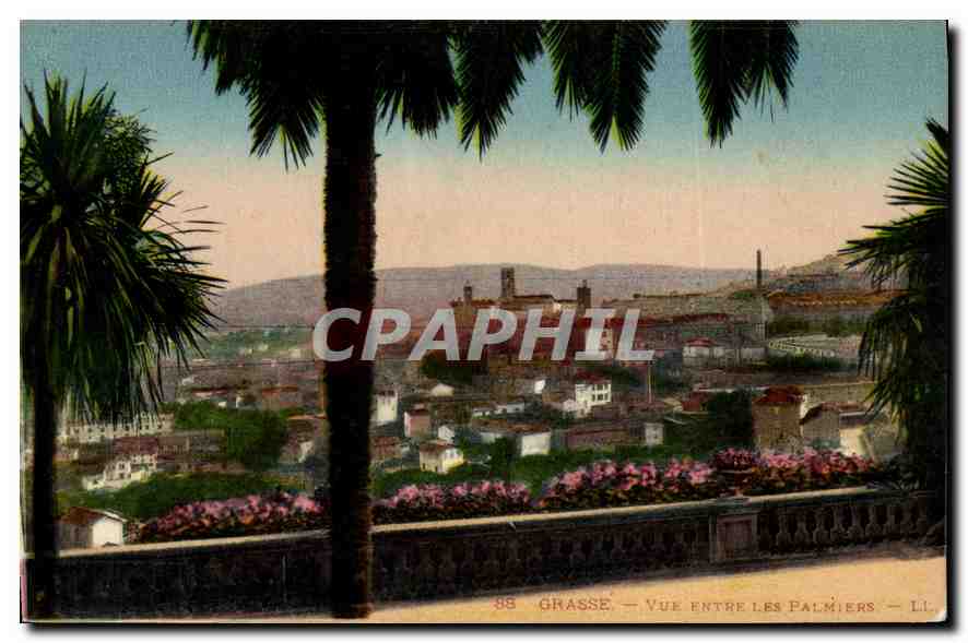 CPA Grasse Vue entre les Palmiers 