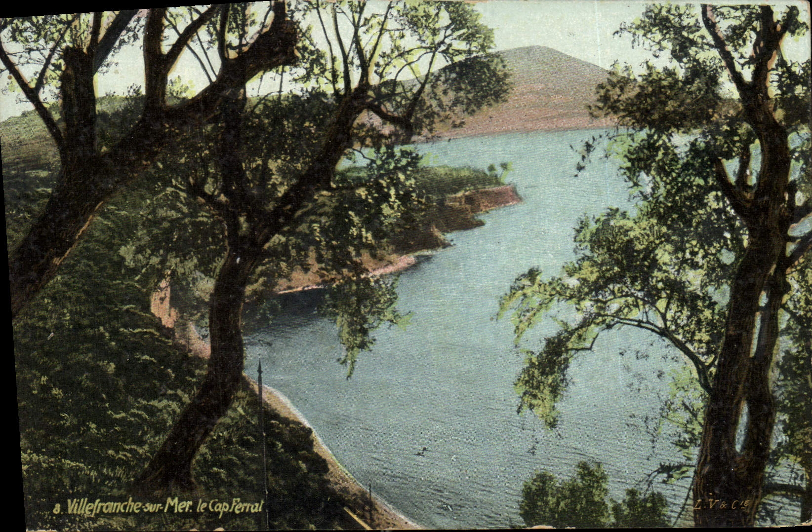 Villefranche-sur-Mer, le Cap Ferrat — vue depuis les arbres — L.V. & Cie