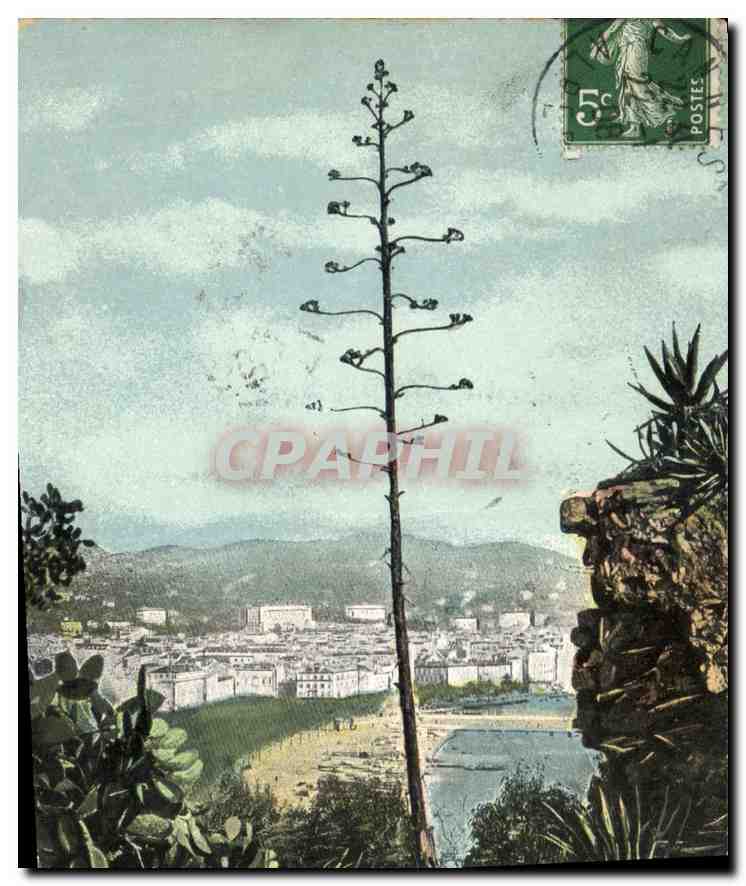 CPA Cannes Vue prise du Mont Chevalier