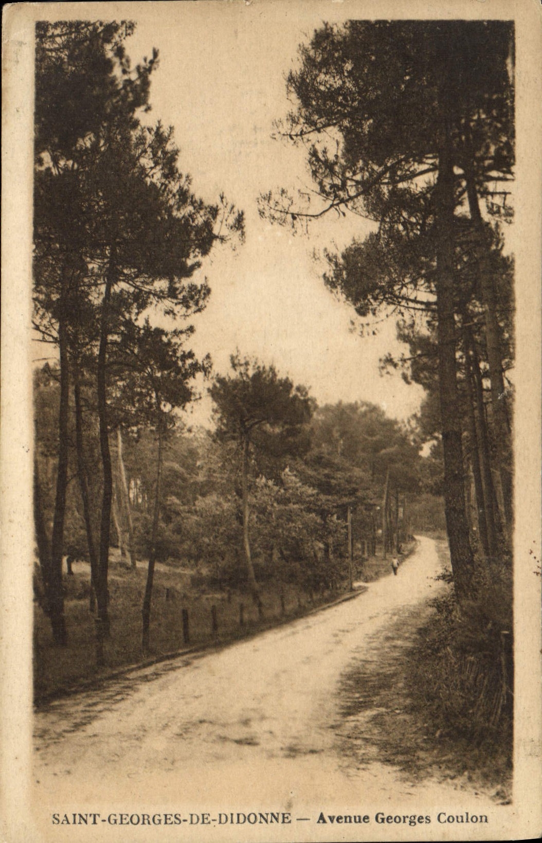 CPA Saint Georges de Didonne Avenue Georges Coulon 