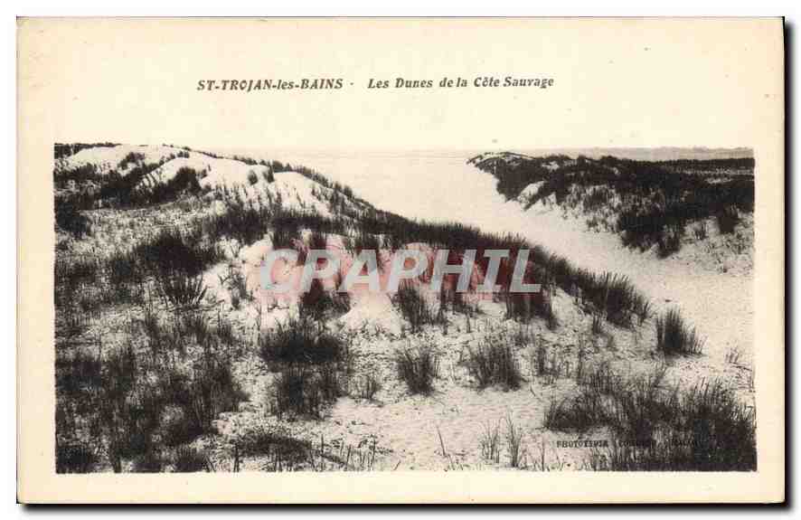 CPA St Trojan les Bains Les Dunes de la Cete Sauvage 