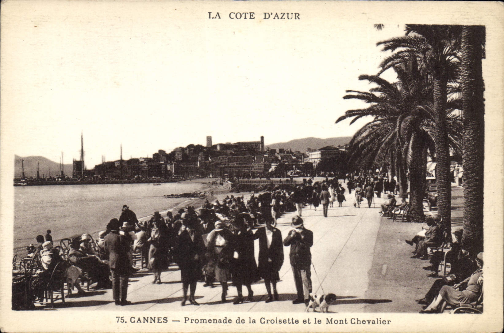 Cannes — Promenade de la Croisette et le Mont Chevalier — Éditeur Mouter, n°75