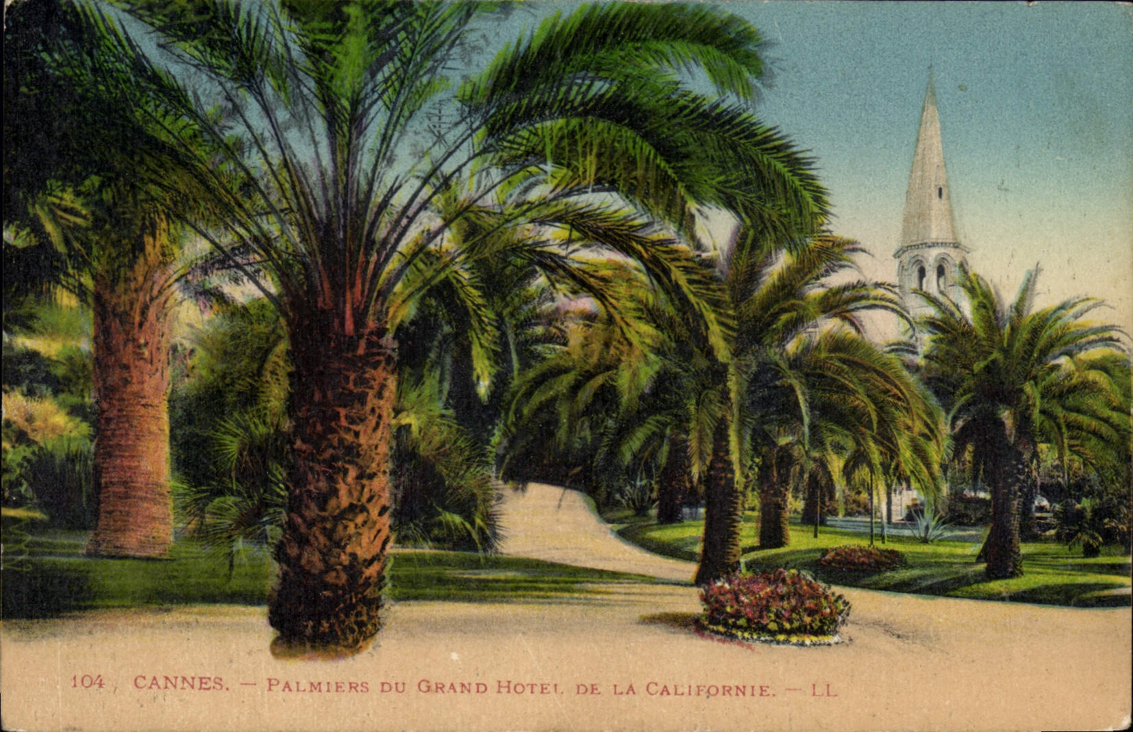 Cannes — Palmen des Grand Hotel de la Californie — LL