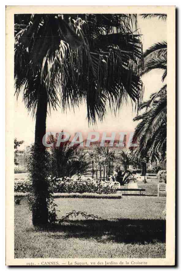 CANNES — Le Suquet vu des jardins de la Croisette — CPAPHIL