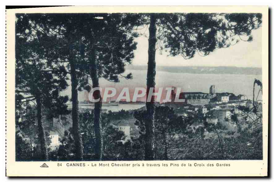 CPA Cannes Le Mont Chevalier pris a travers les Pins de la Croix Gardes 