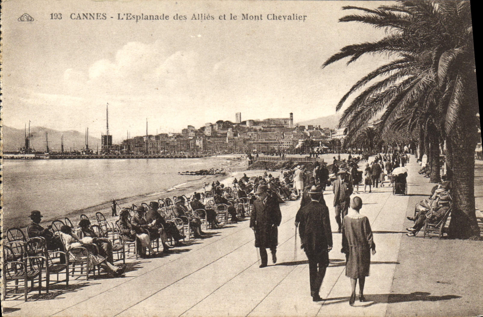 CPA Cannes L'Esplanade des Allies et le Mont Chevalier 