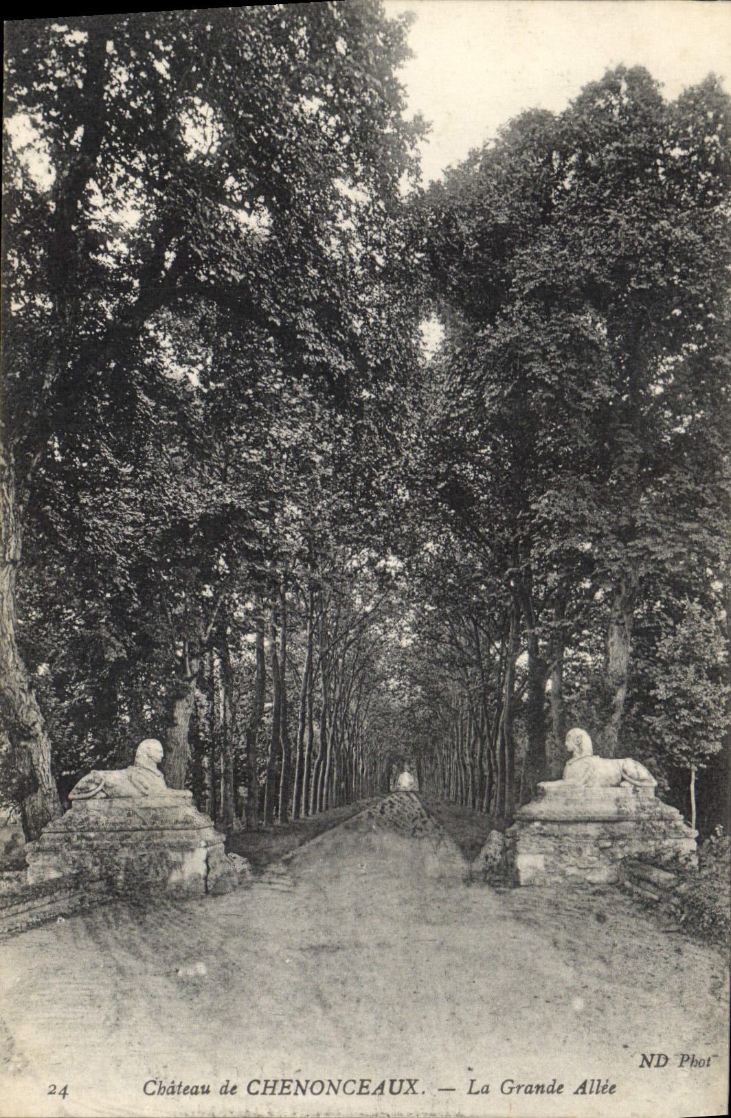CPA Chateau de Chenonceaux Le Grande Allee 