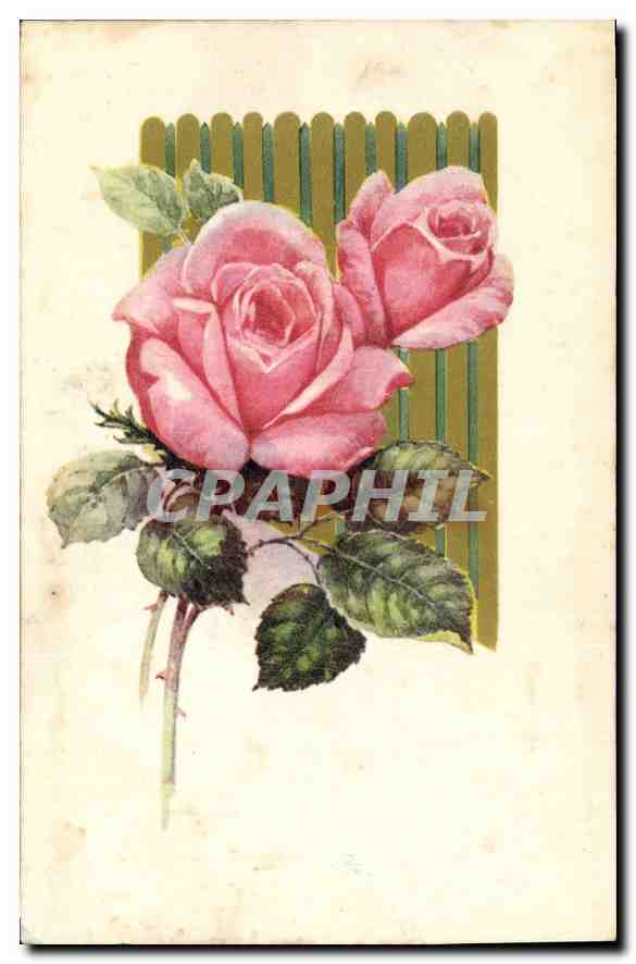 CPA Fleurs