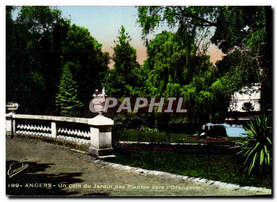 CPA Angers Un coin du Jardin des Plantes vers l'Orangerie 