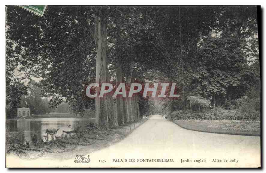 Palais de Fontainebleau - Jardin anglais - Allée de Sully