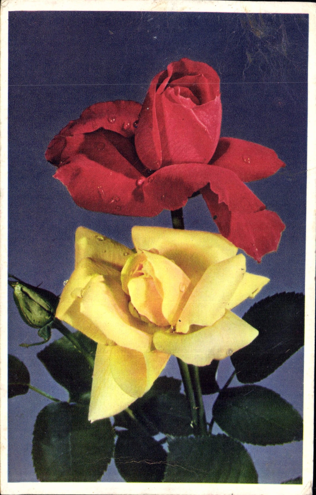 CPA Fantaisie Fleurs