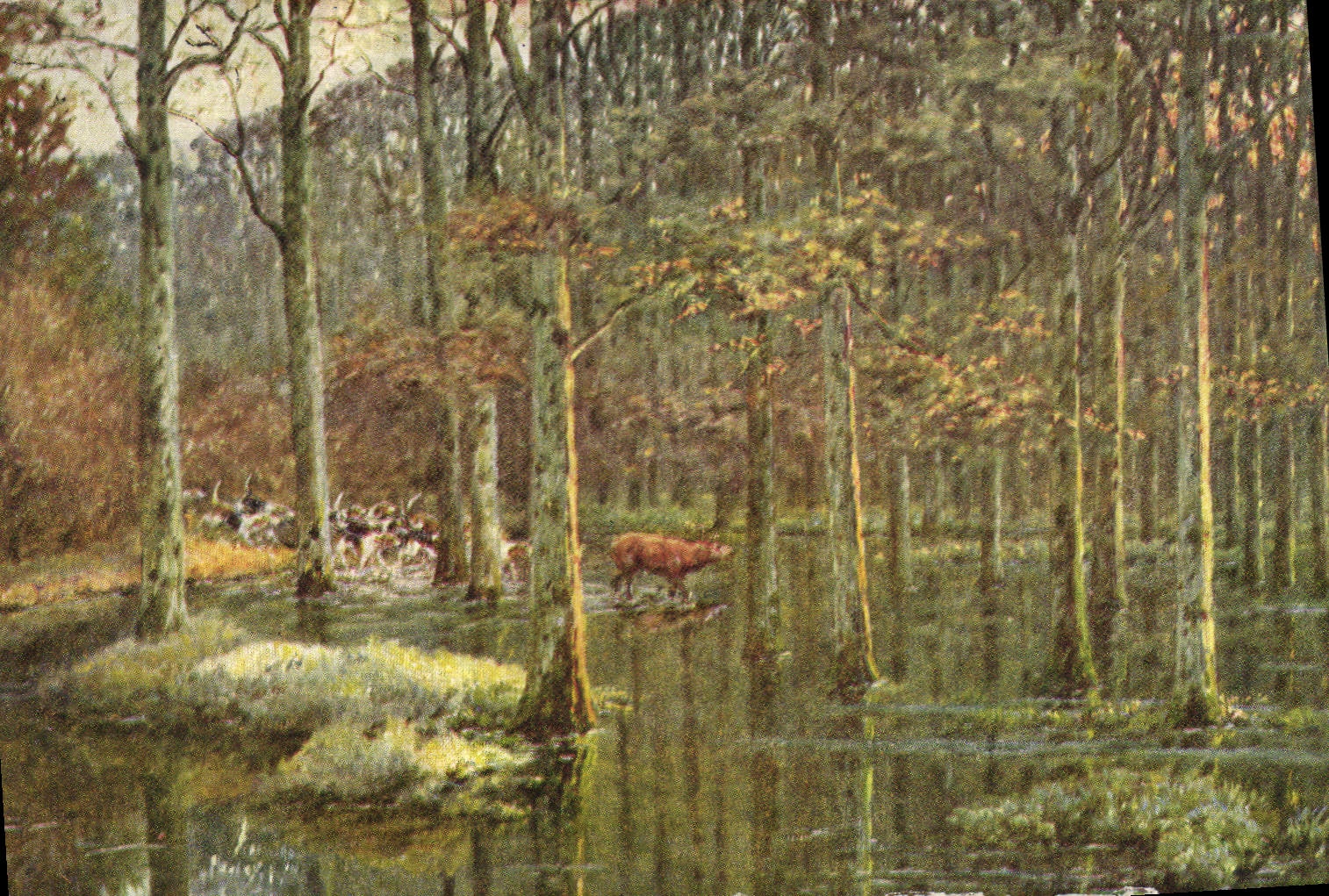 CPA Chasse Foret