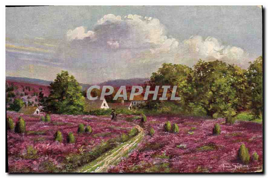 CPA Paysage