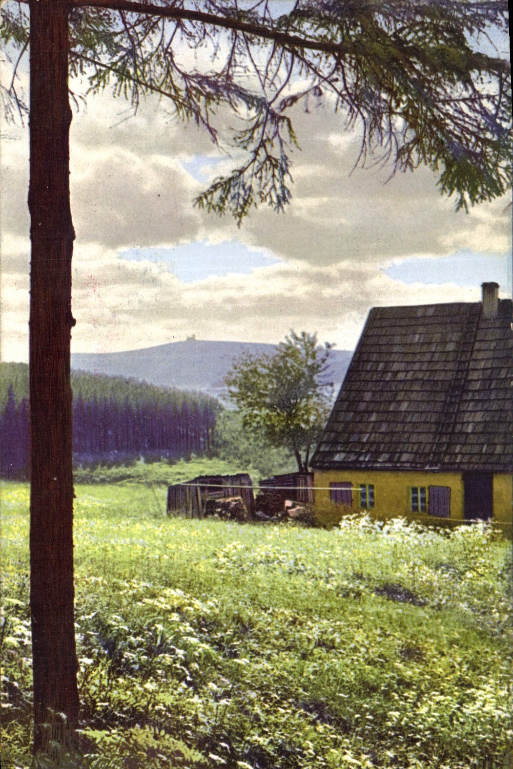 CPA Maison