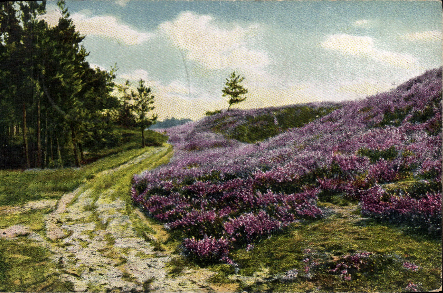 CPA Paysage