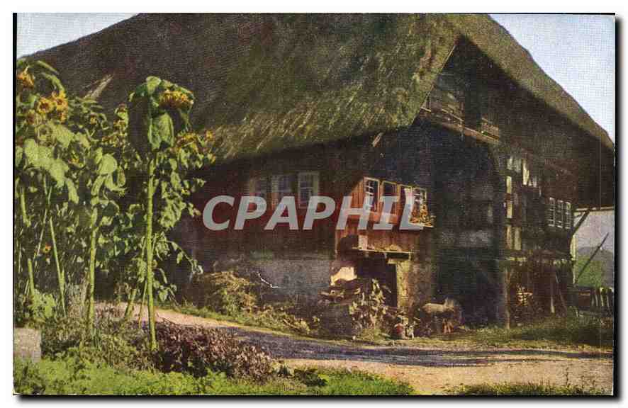 Maison à toit de chaume — avec tournesols — Künstlerkarte Nr. 4008, Série 175 - Recto