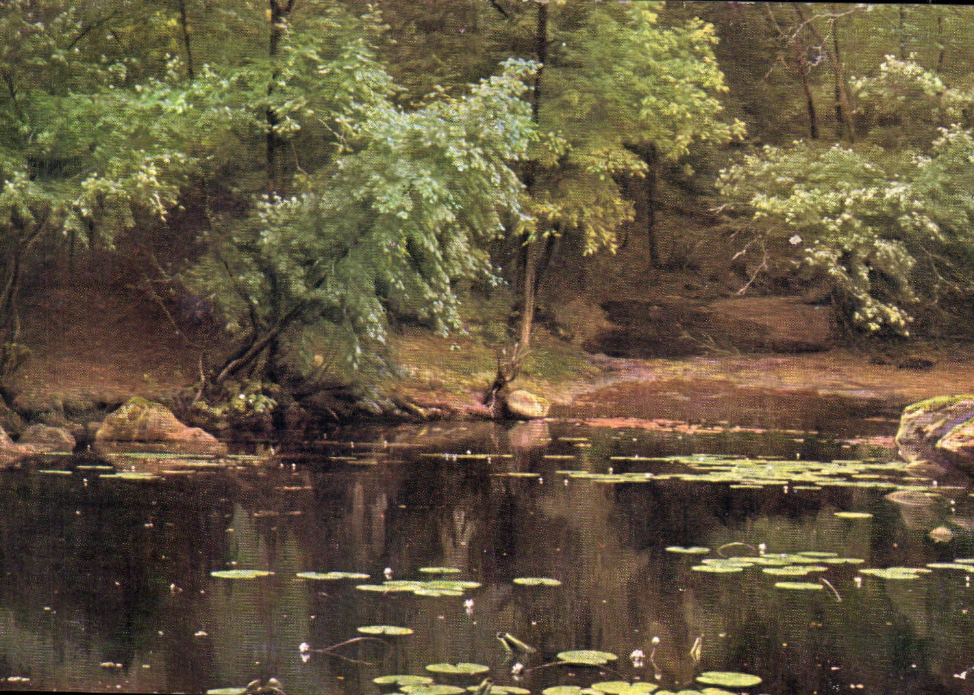 Pond with Water Lilies — Réné HISS, Salon 1912 — L'Atelier-Paris, n°589