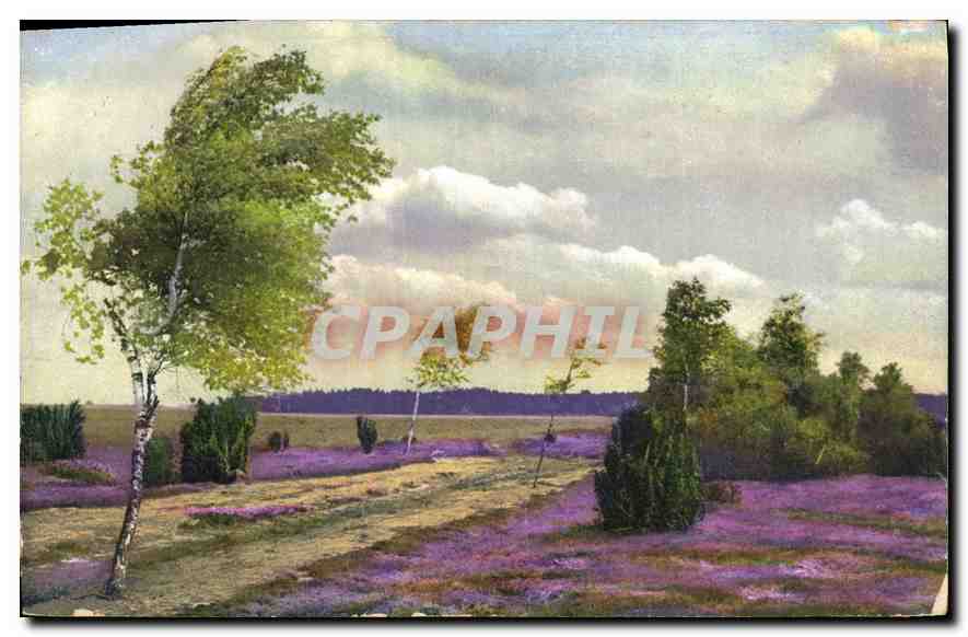 CPA Paysage