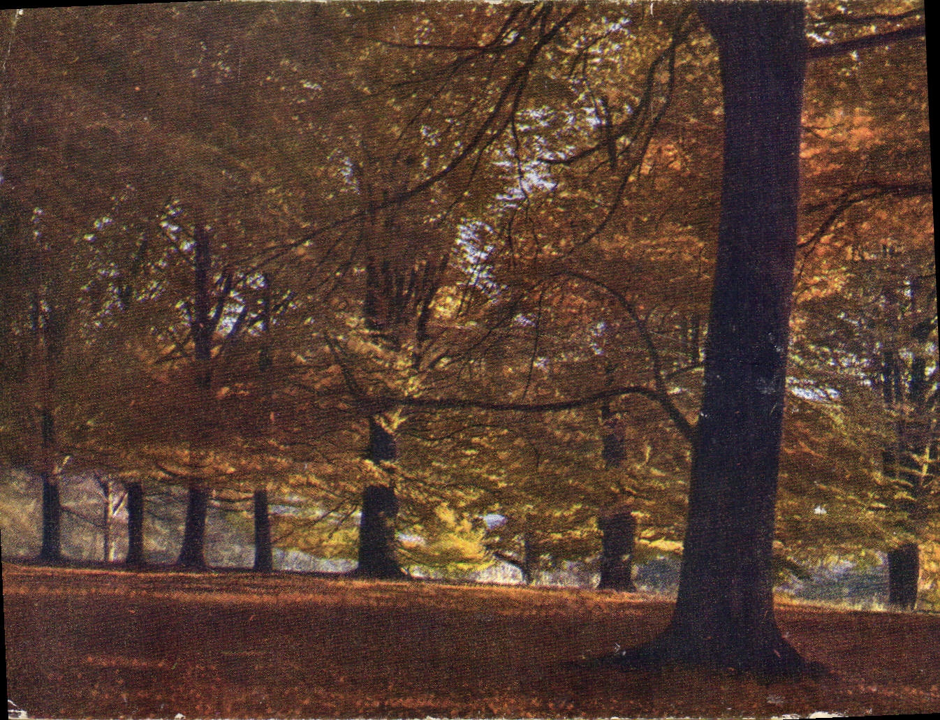 CPA Foret