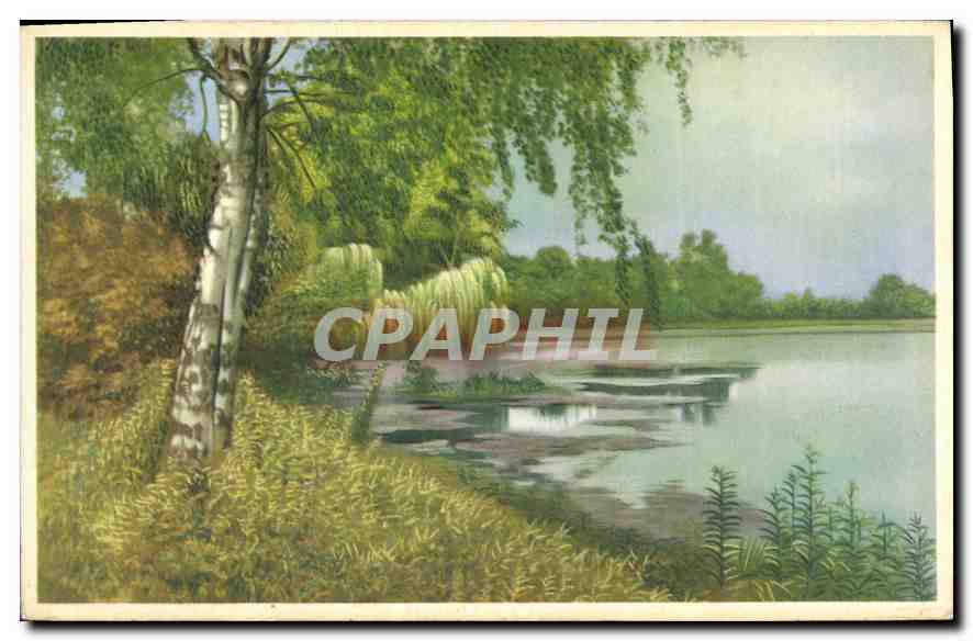 Paysage lacustre avec bouleau — édition Photocolor — imprimée en Belgique
