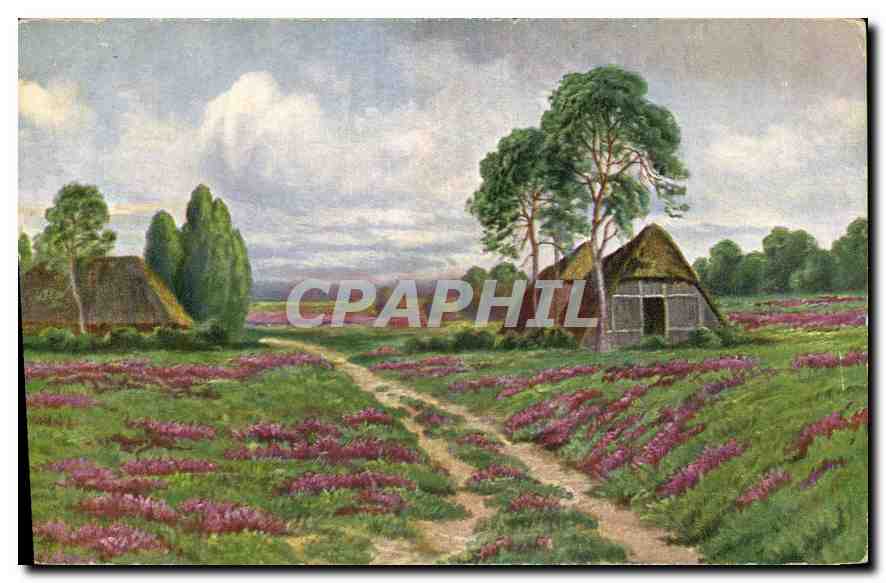 Champs de fleurs violettes — cabanes en chaume — éditeur F. E. D. & Co. Leipzig, série 451