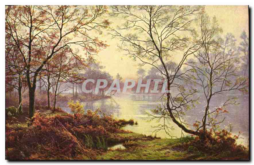 CPA Fantaisie Arbres