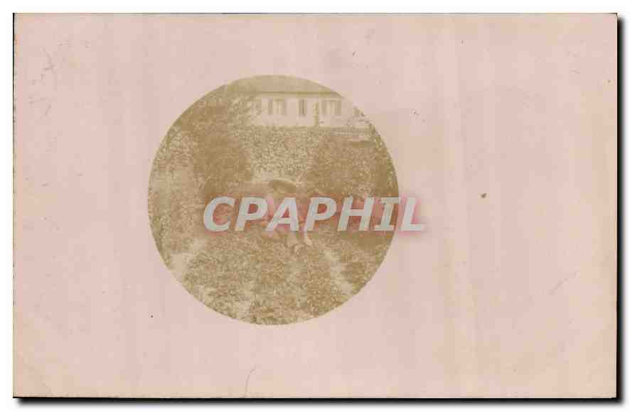 CARTE PHOTO Femme