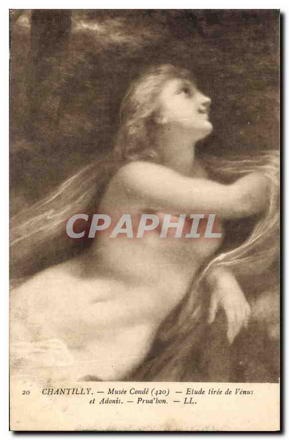 Venus und Adonis — Studie aus Venus und Adonis — Musée Condé — Chantilly