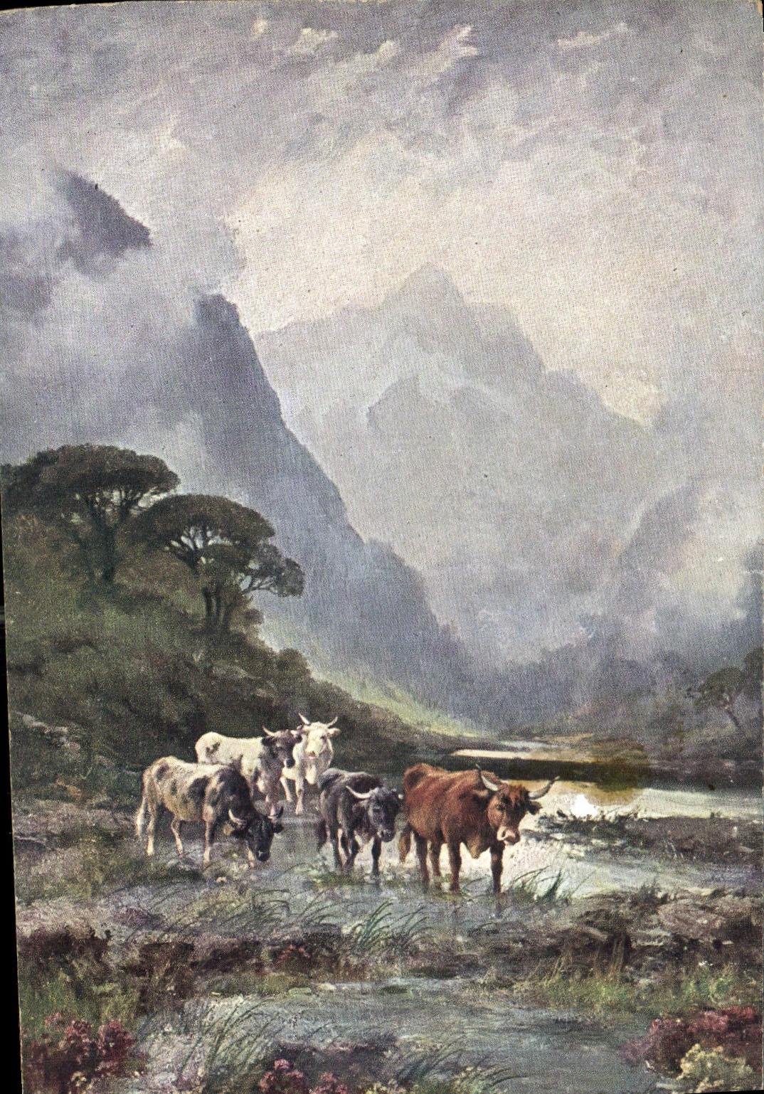 CPA Vaches