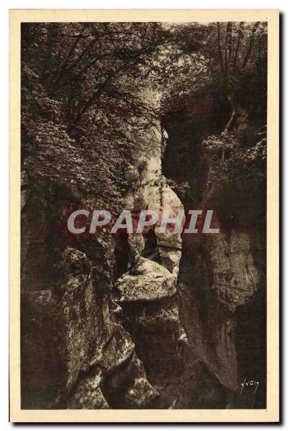 CPA Gorges du Fier Hte Savoie Les beaux Hetres 