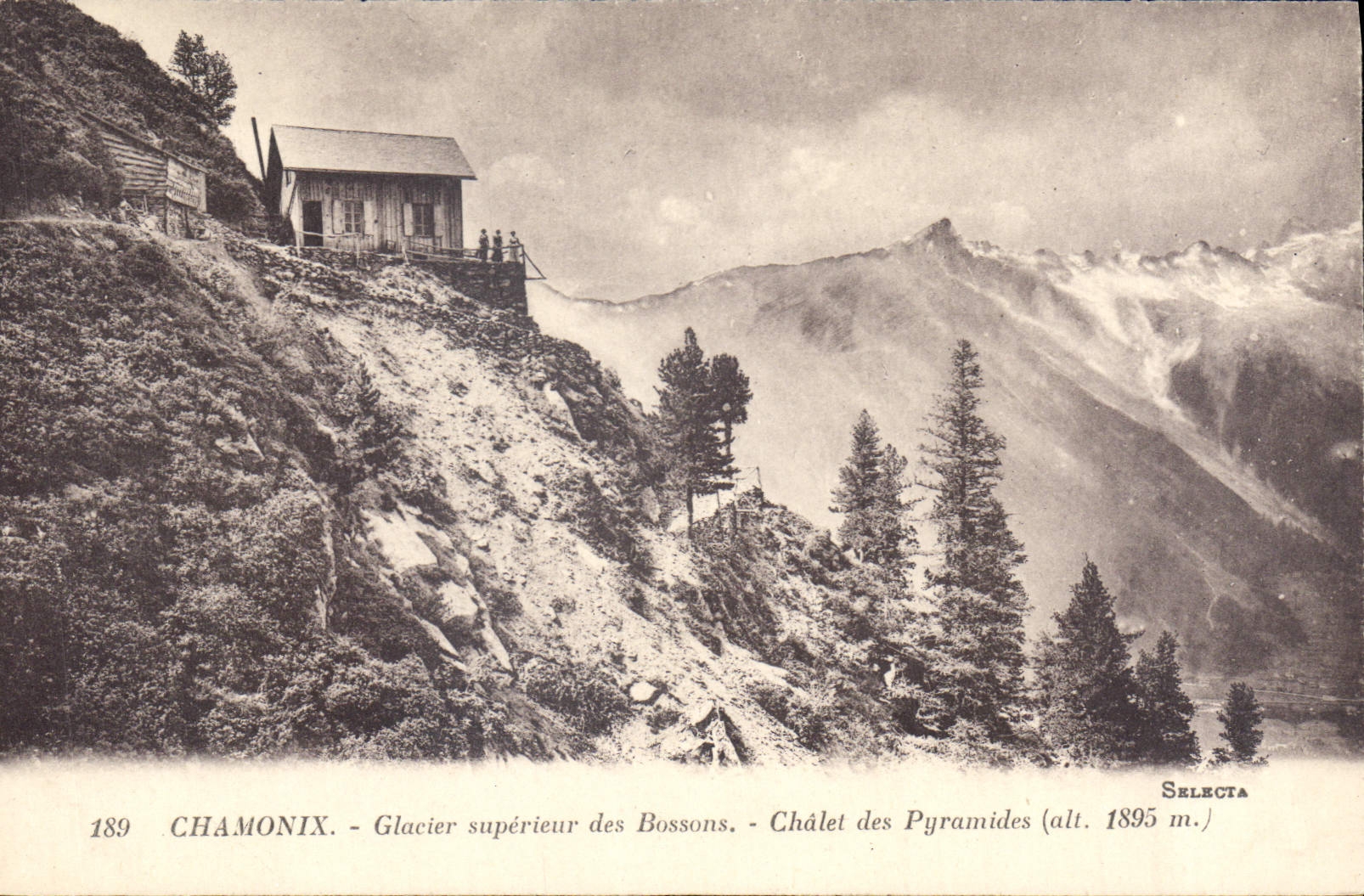 Chamonix - Glacier supérieur des Bossons - Châlet des Pyramides (alt. 1895 m.) — Selecta, n° 189