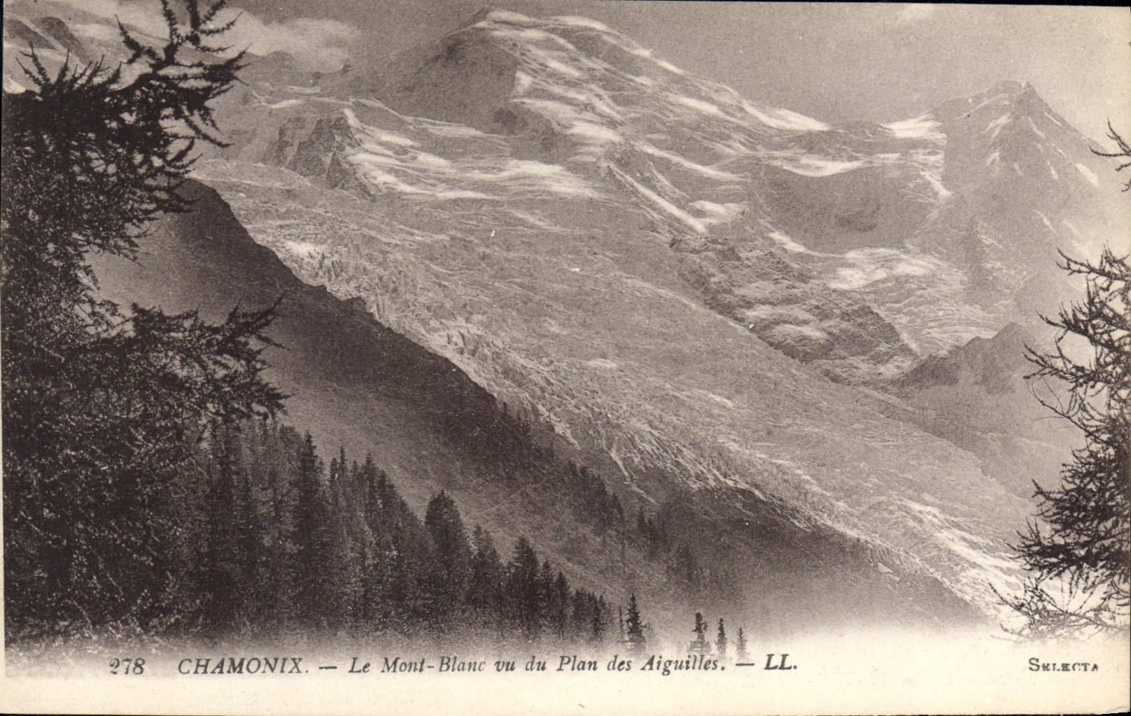CPA Chamonix le Mont Blanc vu du Plan des Aiguilles 