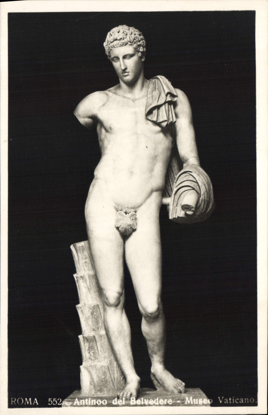 CPA Roma Antinoo del Belvedere Museo Vaticano 