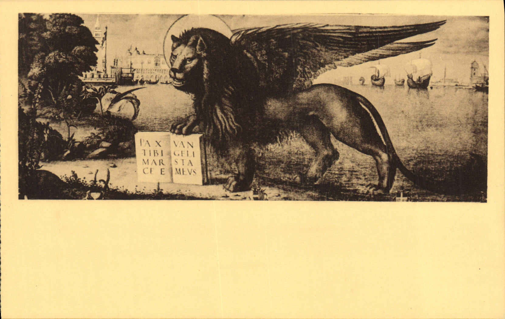 CPA Venezia Palazzo Ducale Museo Archeologico Leone del Carpaccio 