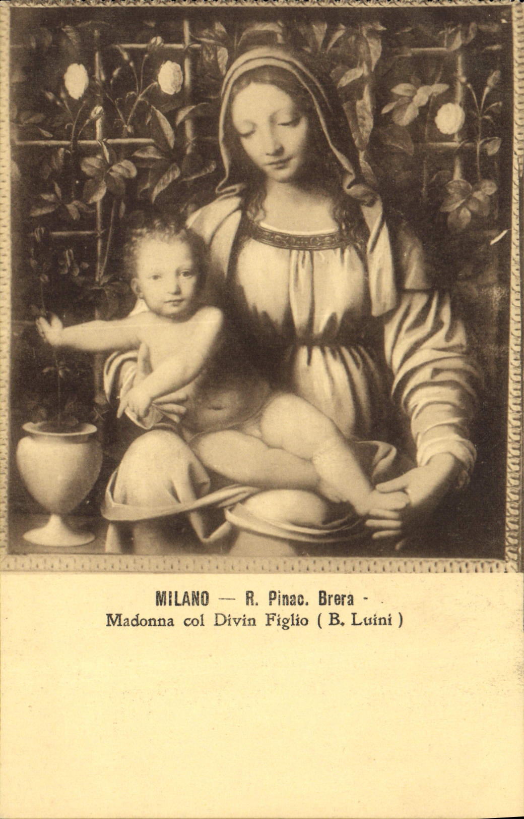 CPA Milano R Pinac Brera Madonna Col divin Figlio B Luini 