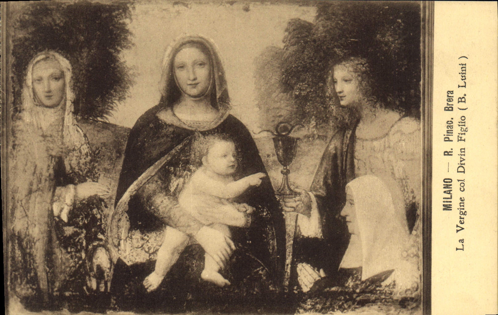 CPA Milano R Pinac Brera la Vergine Col Divin Figlio B Luini 
