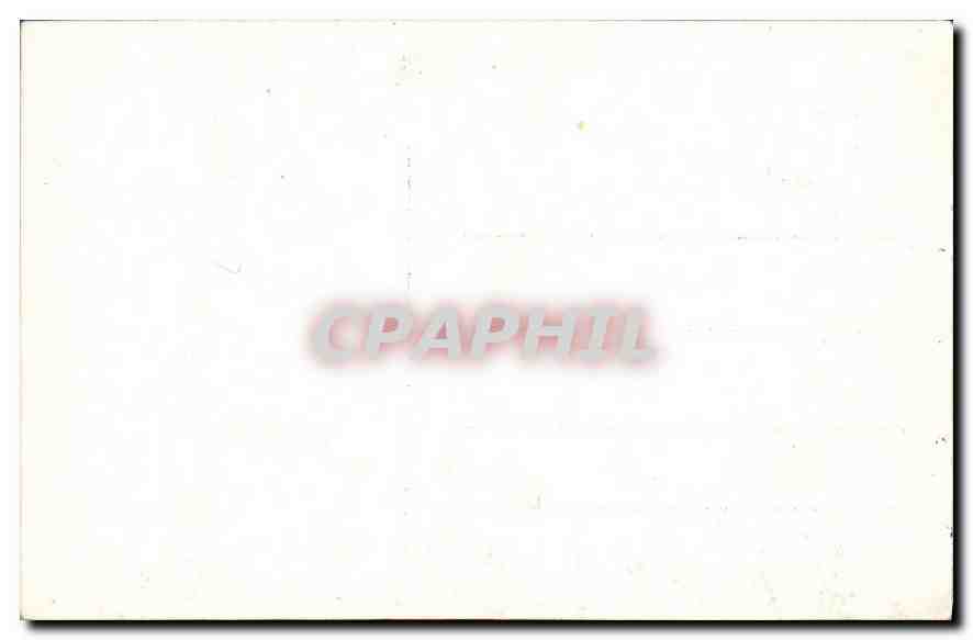 CPA Firenze Plazza Palrelmgo B Gazzeli Part  — Rückseite