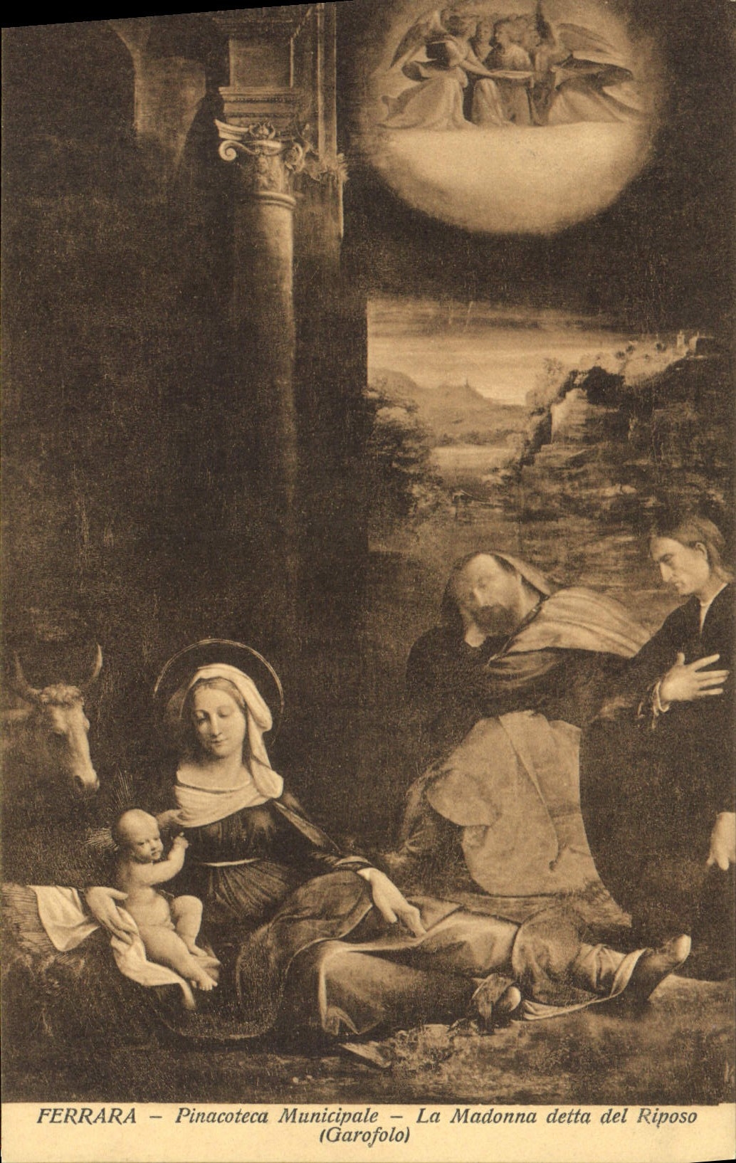 CPA Ferrara Pinacoteca Municipale la Madonna detta del Riposo Garofolo 