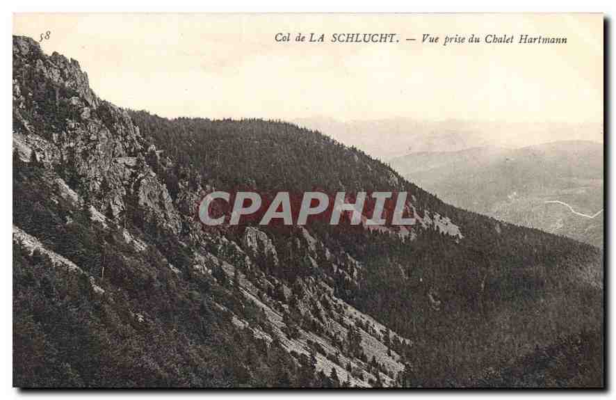 CPA Col de la Schlucht vue prise du Chalet Hartmann 