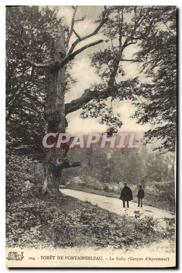 Wald von Fontainebleau — Le Sully (Gorges d'Apremont) — unbekannter Verlag, Nr. 104