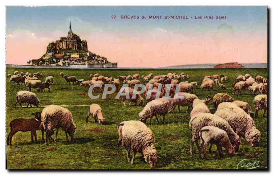 CPA Greves du Mont St Michel les Pres Sales 
