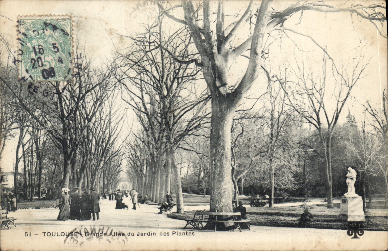 Toulouse - Grande Allée du Jardin des Plantes — éditeur inconnu, n° 51