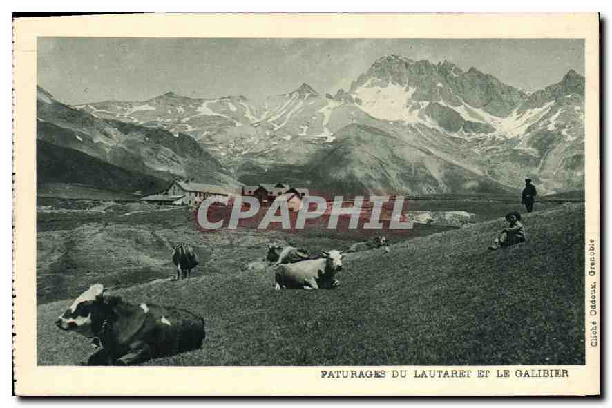 CPA Paturages du Lautaret et le Galibier Vaches