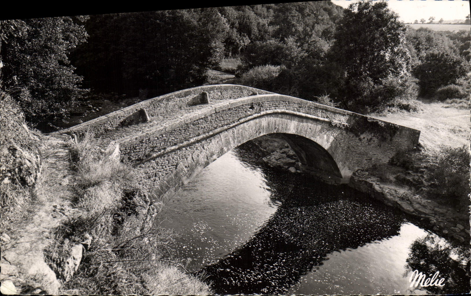 CPA Pierre Perthuis Yonne Vallee de la Cure le Pont Romain 